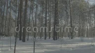 汽车在冬天的森林路上行驶。雪地里的汽车